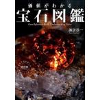 価値がわかる宝石図鑑/ナツメ社/諏訪恭一（単行本（ソフトカバー）） 中古