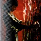 Concentration 20/CD/AVCD-11581 中古