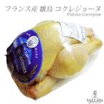 フランス産 雛鳥 コクレジョーヌ 鶏肉 鳥肉 輸入食材 グリル 材料 ローストチキン とりにく ひなどり 丸鶏  高級食材 ブランド鶏