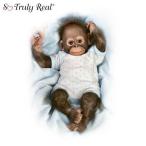 Realistic Baby Monkey Doll: Baby Zachary by Ashton Drake アシュトンドレイク 人形 ドール