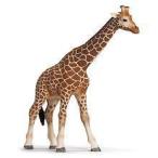 Schleich (シュライヒ) Giraffe, Female 14320 by Schleich (シュライヒ) TOY ドール 人形 フィギュア