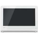 REGZA 10WP1 обычный рассылка товар 1