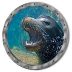  настенный стикер животное окно море тюлень обои Nankoku wall наклейка модный otosei дельфин наклейка море средний море низ пляж симпатичный diy морской ванна vr0871