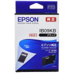エプソン 純正 インクカートリッジ IB09KB ブラック 大容量インク