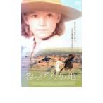 名もなきアフリカの地で レンタル落ち 中古 DVD