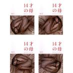 14才の母 愛するために生まれてきた 全4枚  レンタル落ち 全巻セット 中古 DVD  テレビドラマ