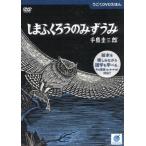 u..DVD......... только ...v в аренду для б/у DVD