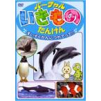  virtual . кимоно ................!!v в аренду для б/у DVD