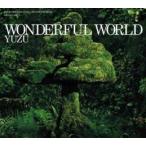 WONDERFUL WORLD обычный запись прокат б/у CD