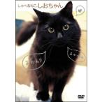 [ б/у ]......,.. Chan [ прокат ] [DVD]