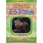 [ б/у ]... и т.п. .....morumoto* заяц * белка [ прокат ] [DVD]