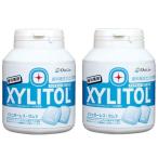  зуб . специальный жевательная резинка с ксилитом бутылка модель 90 шарик ( прозрачный мята ) (2 шт )