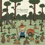 新古品) 04 Limited Sazabys ／ Harvest(通常盤) (CD)