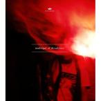 madrigal of decadence(初回限定盤B)(DVD付) ／ 清春 (CD)