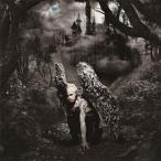 THIS IS MY WING ／ DAMIJAW (CD)