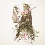 Story ／ MONKEY MAJIK (CD)