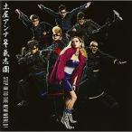 STEP IN TO THE NEW WORLD!(DVD付) ／ 土屋アンナ/氣志團 (CD)