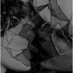 Out of Body ／ mouse on the keys (CD)