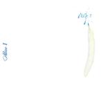 ALICE I +4(初回生産限定盤) ／ アリス (CD)