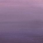 離婚伝説 ／ 離婚伝説 (CD)