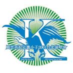 風雲再起近畿小子2001台北演唱會〜KinKi Kids Returns! 20.. ／ KinKi Kids (DVD)