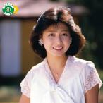 ゴールデン☆ベスト 倉沢淳美 ／ 倉沢淳美 (CD) (発売後取り寄せ)