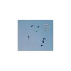 THE WORLD IS MINE ／ くるり (CD)