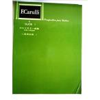 ( музыкальное сопровождение * литература ) стандарт версия karuli гитара сборник / 2 -слойный . сборник 1[ ваш заказ ]