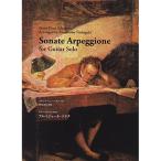 ( музыкальное сопровождение * литература ) колодка ремень / гитара Solo поэтому. arupe Joe ne* sonata [ ваш заказ ]