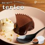 オリジナルテリーヌショコラ terico テリコ チョコ ケーキ