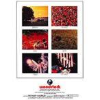  Woodstock постер 