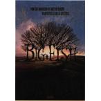  большой рыба постер BIG FISH L размер 