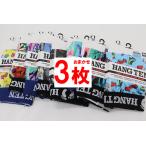 HANG TEN ( рукоятка тонн ) боксеры 3 шт. комплект нижнее белье мужской внутренний лотерейный мешок стрейч передний .. полиэстер Boxer комплект 
