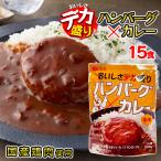 ショッピングハンバーグ デカ盛り ハンバーグカレー レトルトカレー 国産鶏肉 使用 200g 1人前 × 15食セット 中辛 ボリューム満点 電子レンジ 簡単調理