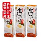 ムソー 旨味本来 生おろししょうがチューブ 40g 3本セット 香辛料 調味料 化学調味料不使用