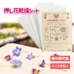 オーアールエス 押し花 乾燥シートセット FS-106 しおり スマホケース ネイルアート 手作り クラフト用品