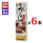 ムソー 旨味本来 からしチューブ 40g 6本セット 香辛料 調味料 オリエンタルマスタード おでん 肉まん からし チューブタイプ