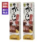 ムソー 旨味本来 からしチューブ 40g 2本セット 香辛料 調味料 オリエンタルマスタード おでん 肉まん からし チューブタイプ