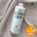 GREEN MOTION зеленый motion 2 шт. комплект eko прачечная жидкий re Phil 500ml сделано в Японии моющее средство 