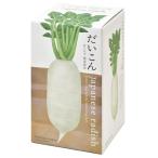 聖新陶芸おうちで根菜栽培セットだい...