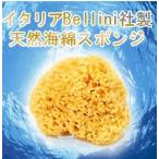 海綿 スポンジ 天然海綿ハニコム種(16cm) 絹の様な泡立ち!イタリア製天然海綿スポンジ SA16 _