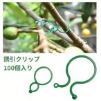 [ параллель импортные товары ].. зажим 100 штук входит садоводство зажим фигурная скобка контактный дерево .. фиксация кабельная стяжка садоводство _