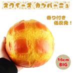 スクイーズ カンパーニュ 16.5cm 香り付き 低反発 パン 食パン フランスパン スクイーズ __