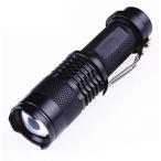 [ параллель импортные товары ]LED маленький размер ручной фонарь черный мощный яркость легкий compact _