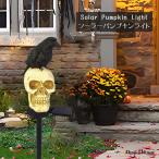  Halloween украшение солнечный свет Skull свет череп каркас встроен наружный водонепроницаемый садовый светильник заряжающийся иллюминация 
