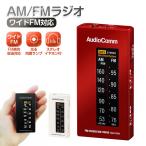 ラジオ 小型 ポケットラジオ ライターサイズラジオ コンパクトラジオ イヤホン専用AM FM ワイドFM対応 ミニラジオ 持ち運び イヤホン付 防災グッズ オーム電機