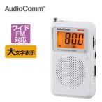  радио маленький размер карман радио AM/FM широкий FM соответствует мобильный портативный радио высокочувствительный тип аккумулятора большой знак жидкокристаллический отображать compact предотвращение бедствий День матери День отца День почитания пожилых людей ом электро- машина 