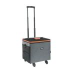 TRUSCO термос Carry 430X310X420mm примерно 50?56L