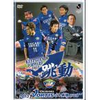 ★DVD サッカーJリーグ 2013 徳島ヴォルティス J1昇格DVD跳動 総集編&ダイジェスト (収録時間98分)