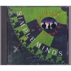 ■CD ストリート・ファイティング・イヤーズ *シンプル・マインズ (Simple Minds)